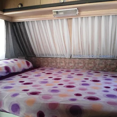 Camping Almocita Campsite *